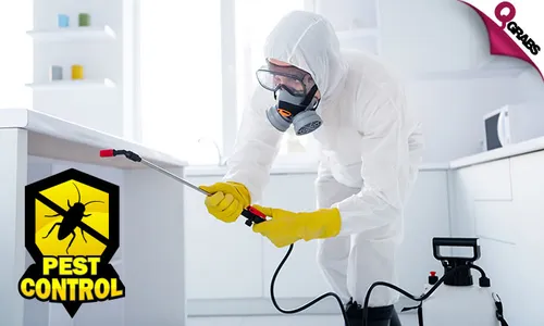 Pest Control: Cockroach & Bedbug Treatment Services!